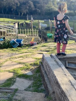 IMG_2741